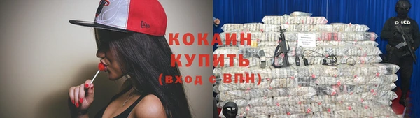 сатива Верхний Тагил