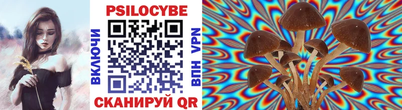 Галлюциногенные грибы MAGIC MUSHROOMS  где продают наркотики  Лабытнанги 